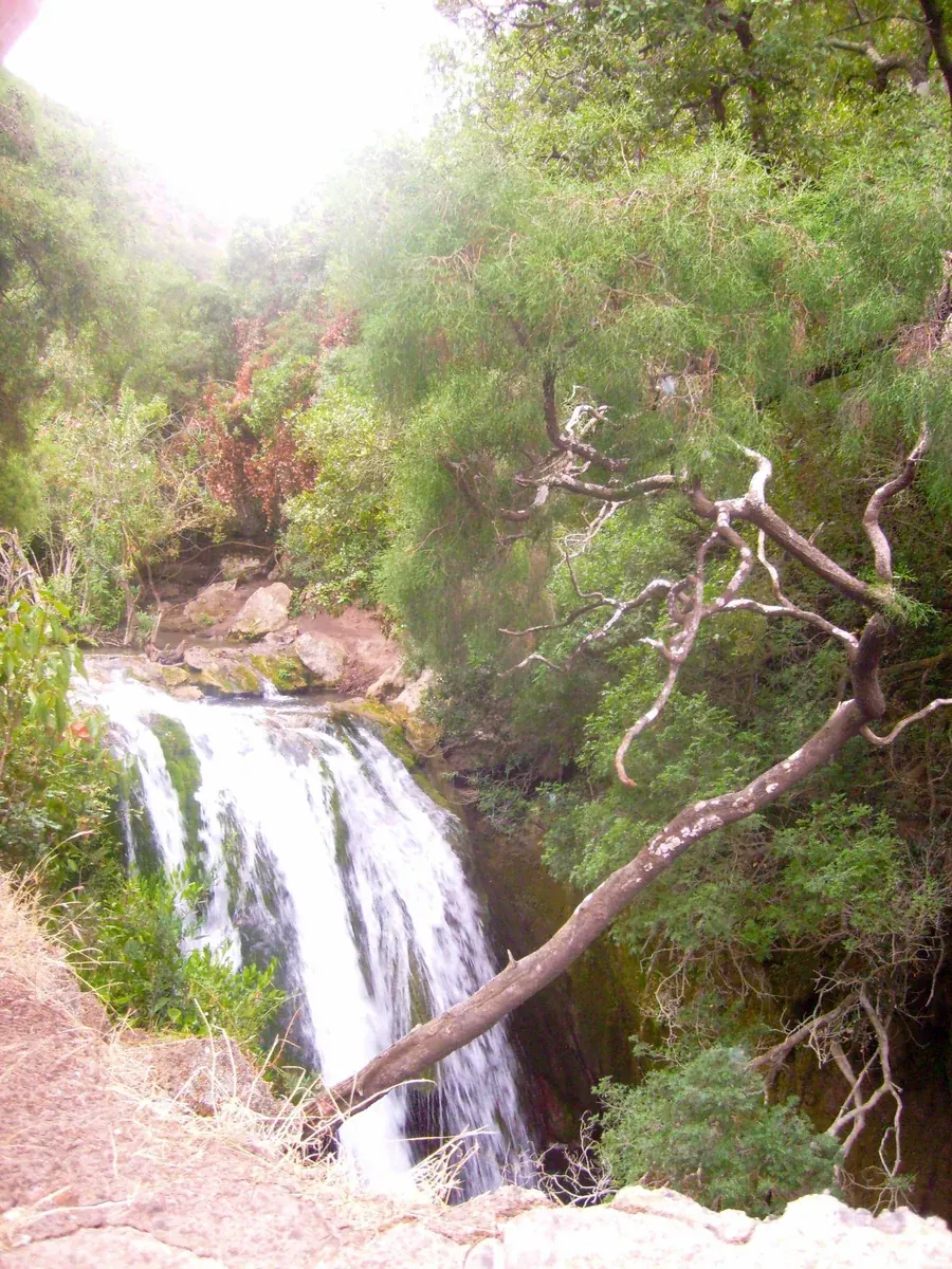 Water cascading over rocks in a forested setting at Akchour in Talassemtane National Park.
