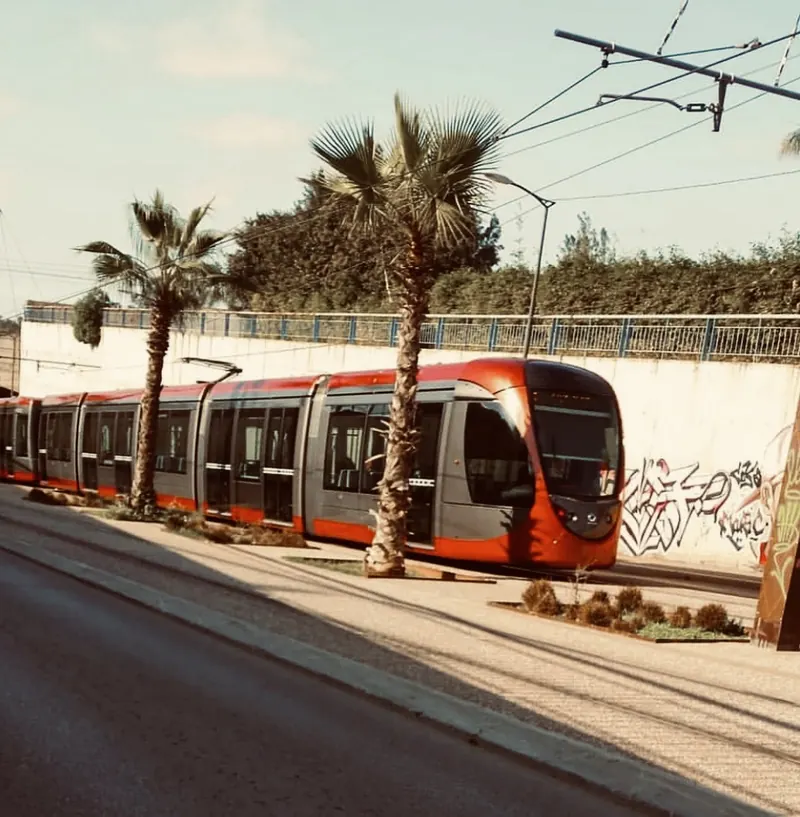 A red Casablanca tram travelling beside palms and a roadside wall in daylight.