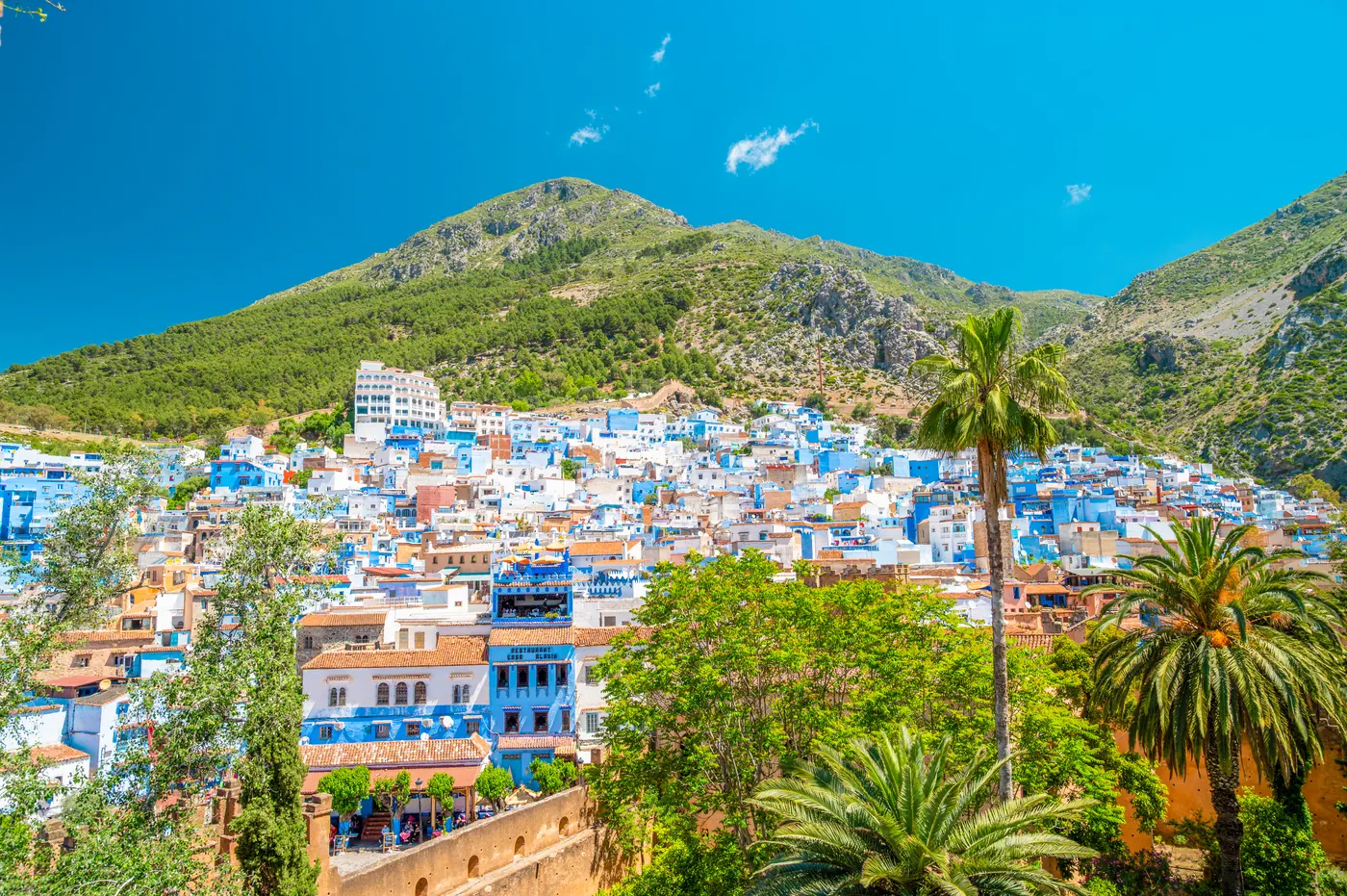 Wide view of Chefchaouen’s blue-painted medina below the Rif Mountains