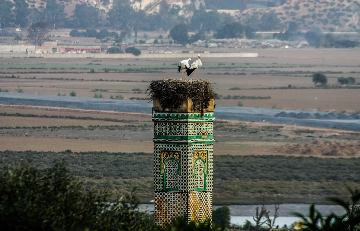 Tile-decorated Marinid minaret at Chellah in Rabat, with two white storks on a nest