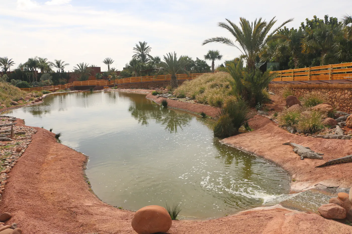 A crocodile rests beside a pond in the landscaped Crocoparc Agadir enclosure.