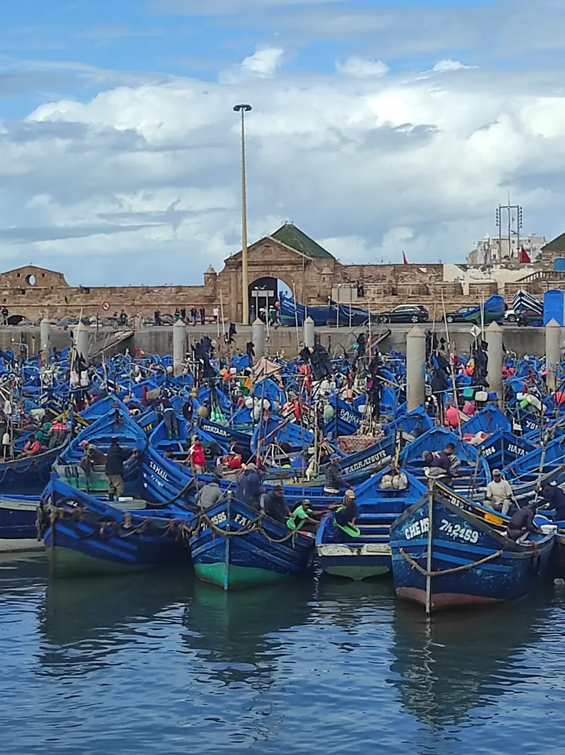 Tightly moored blue fishing boats in Essaouira harbour below the stone waterfront and port gate.