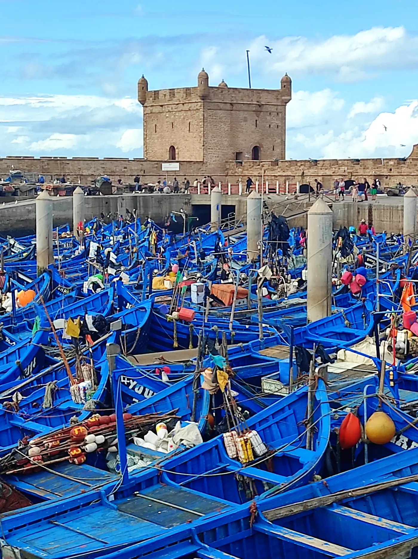 Blue fishing boats moored below Borj El Barmil at Essaouira harbour