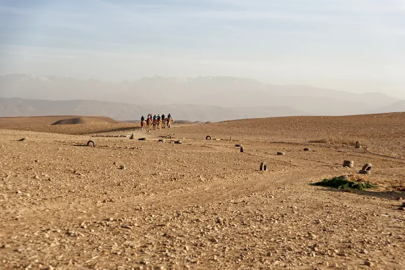 Riders on dromedaries crossing the rocky Agafay Desert with the High Atlas behind