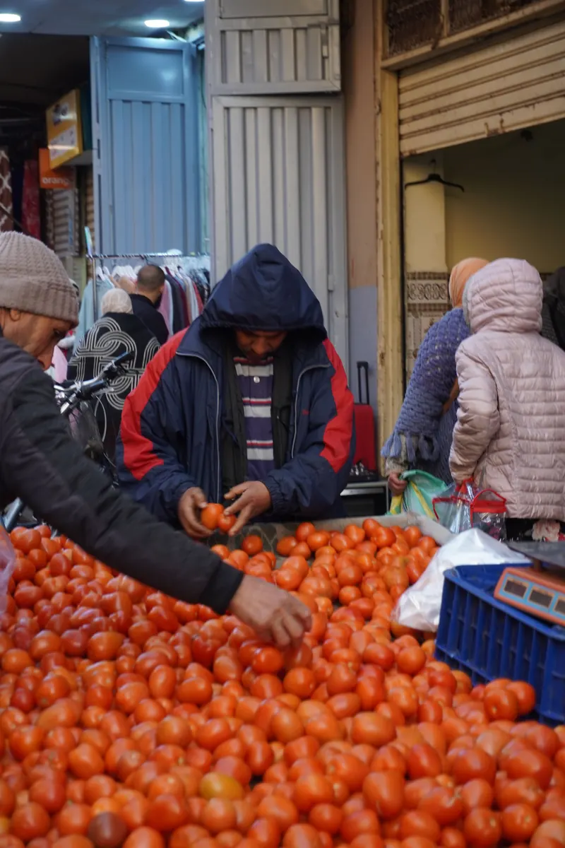 People selecting fresh tomatoes at a market in Taroudant, Morocco