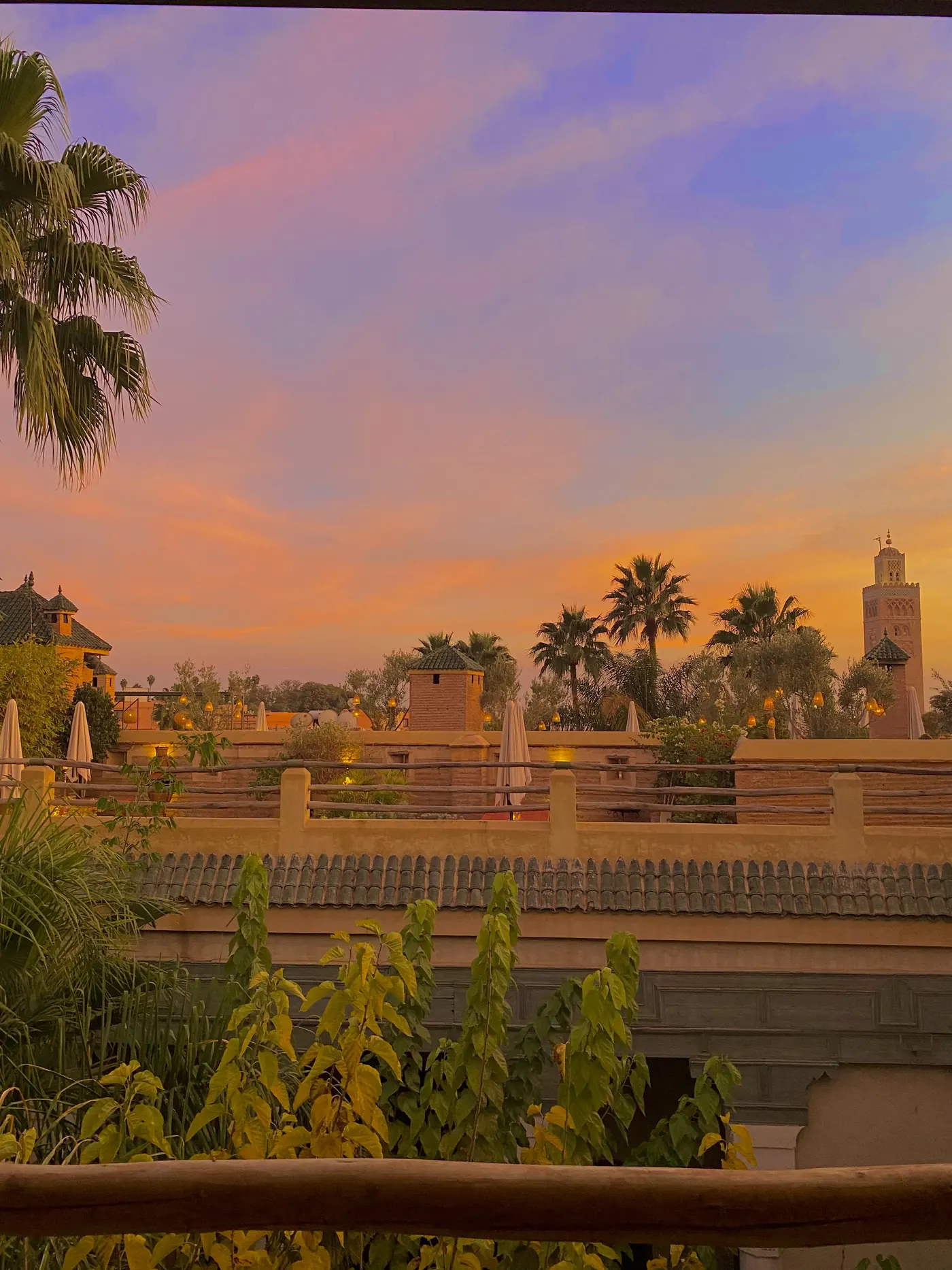 Palm trees, rooftops and a minaret in Marrakech at sunset