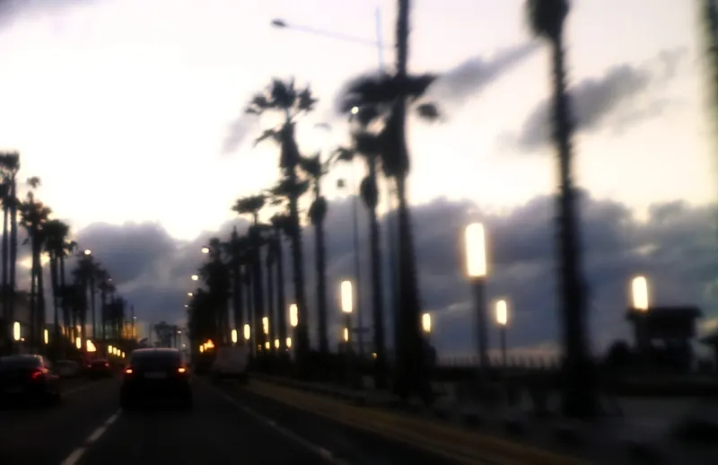 Palm-lined road on the Ain Diab Corniche in Casablanca beneath a cloudy sky.