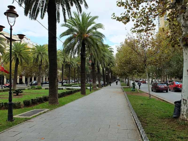 Palm-lined pavement and traffic on Avenue Hassan II in Fez Ville Nouvelle